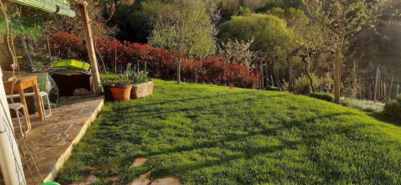 Вілла Casa Da Vina - Ribeira Sacra Nogueira De Ramuin Екстер'єр фото