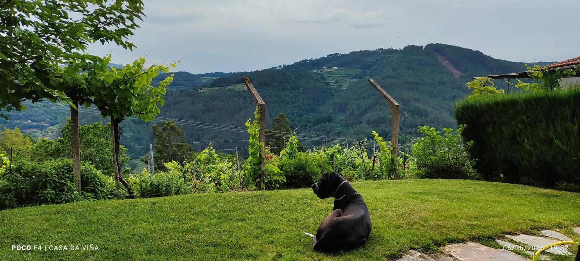 Вілла Casa Da Vina - Ribeira Sacra Nogueira De Ramuin Екстер'єр фото