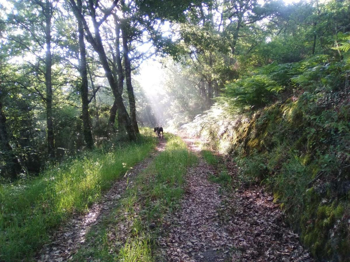 Вілла Casa Da Vina - Ribeira Sacra Nogueira De Ramuin Екстер'єр фото