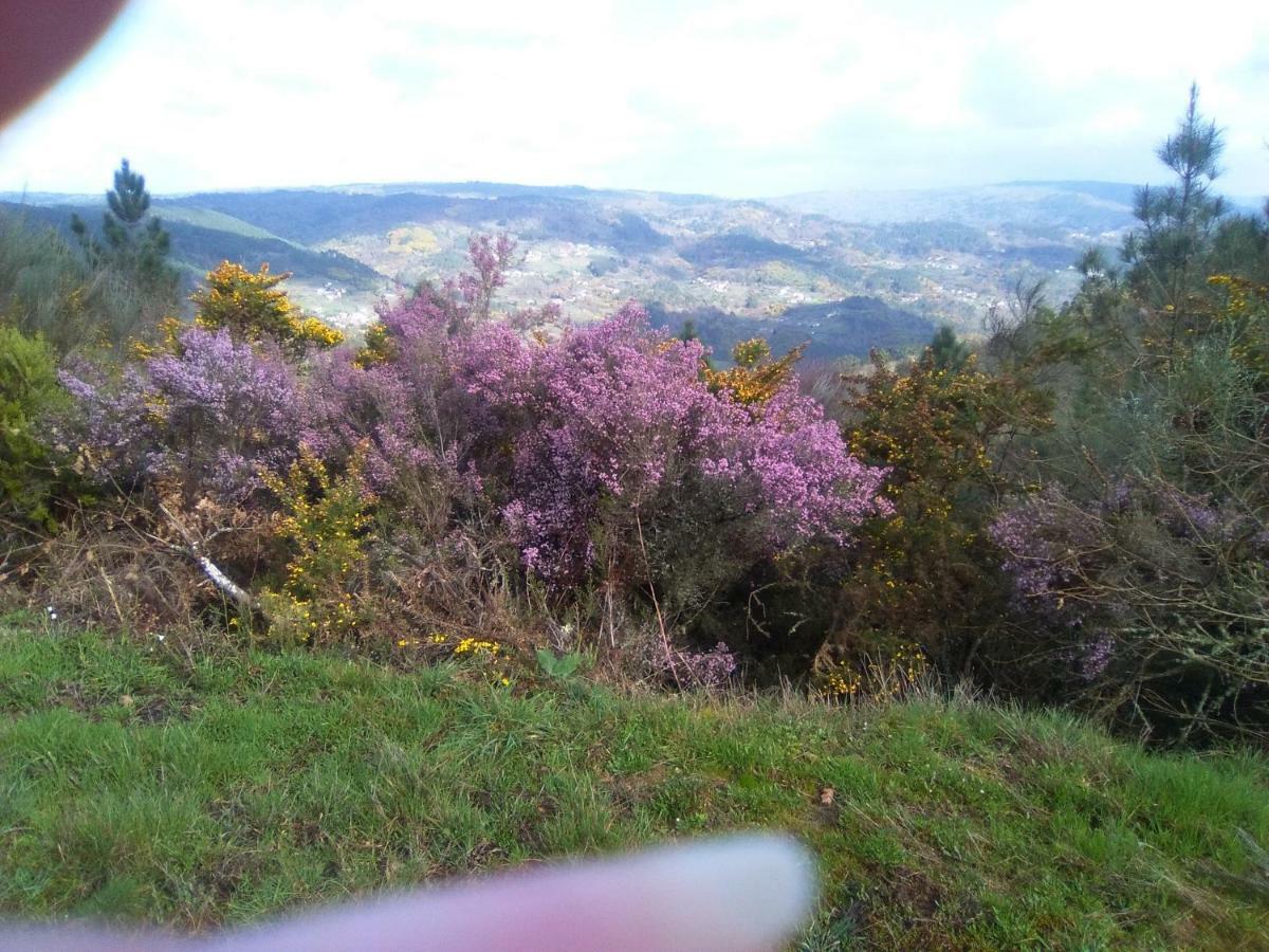 Вілла Casa Da Vina - Ribeira Sacra Nogueira De Ramuin Екстер'єр фото