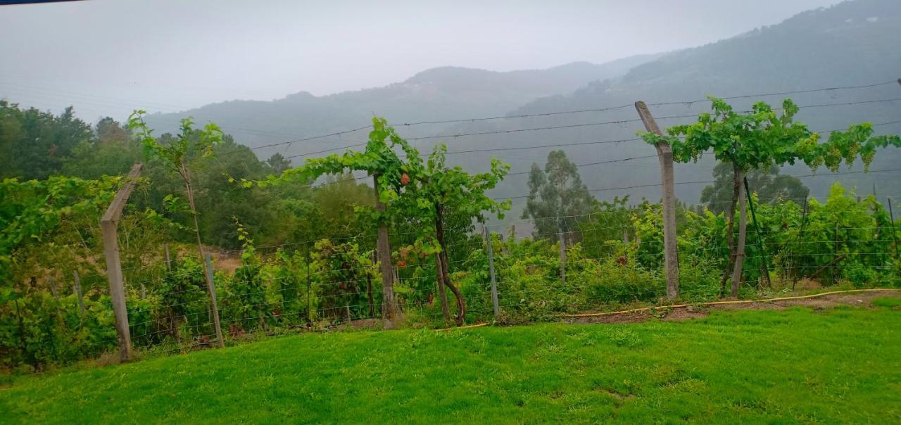 Вілла Casa Da Vina - Ribeira Sacra Nogueira De Ramuin Екстер'єр фото
