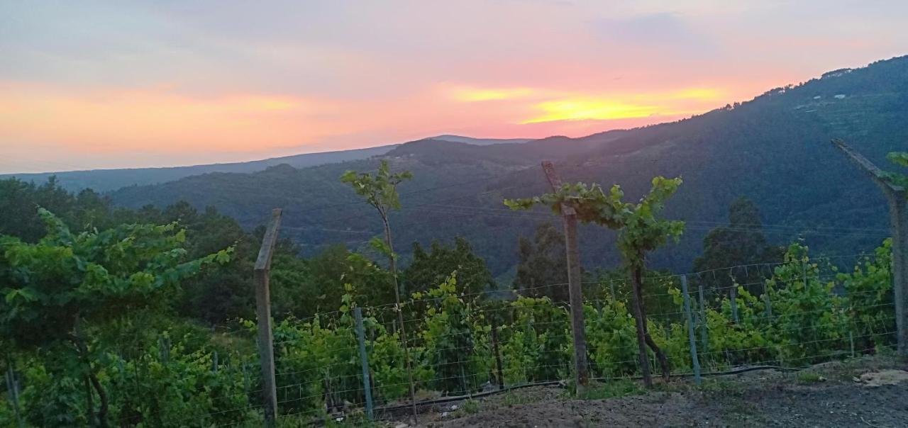 Вілла Casa Da Vina - Ribeira Sacra Nogueira De Ramuin Екстер'єр фото