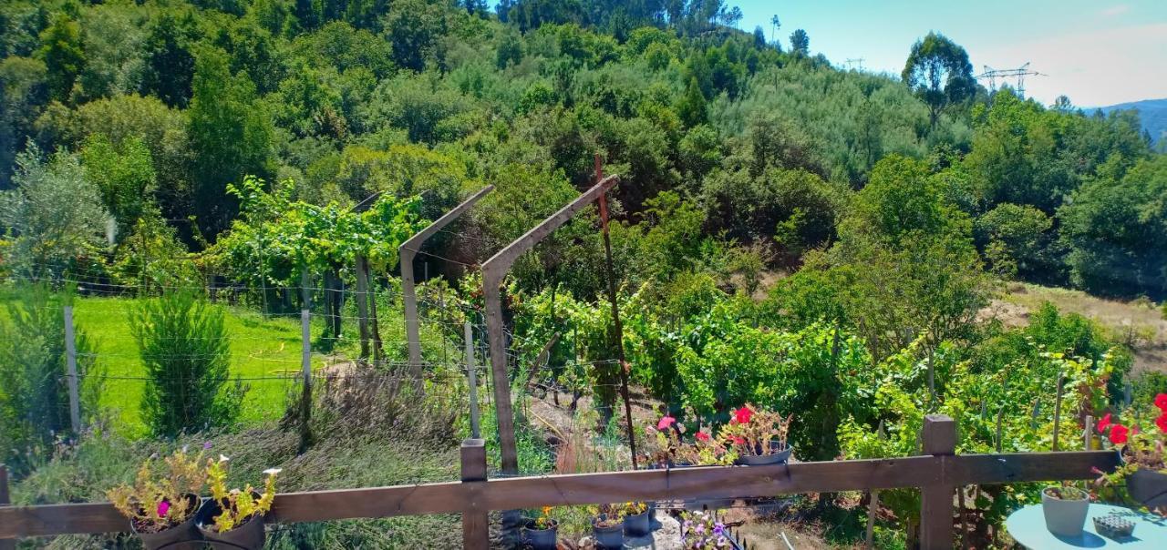 Вілла Casa Da Vina - Ribeira Sacra Nogueira De Ramuin Екстер'єр фото